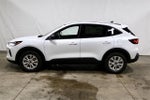 2025 Ford Escape Active Demo