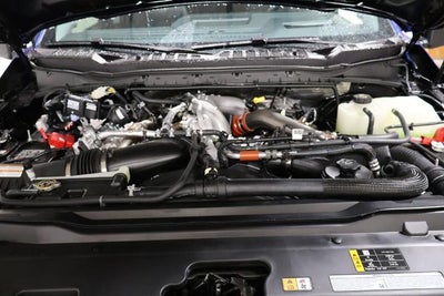 2026 Ford Super Duty F-250 SRW Black Widow Edition