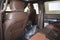 2027 Ford Super Duty F-350 SRW King Ranch
