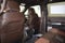 2027 Ford Super Duty F-450 DRW King Ranch