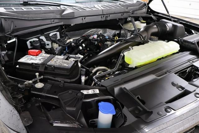 2026 Ford F-150 STX Demo