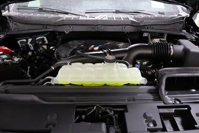 2026 Ford F-150 STX Demo