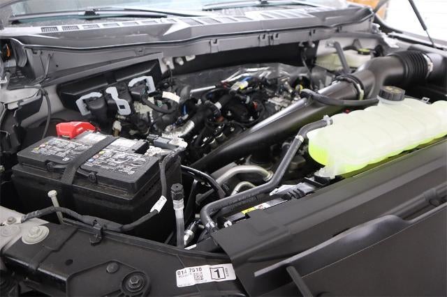 2025 Ford F-150 STX Demo