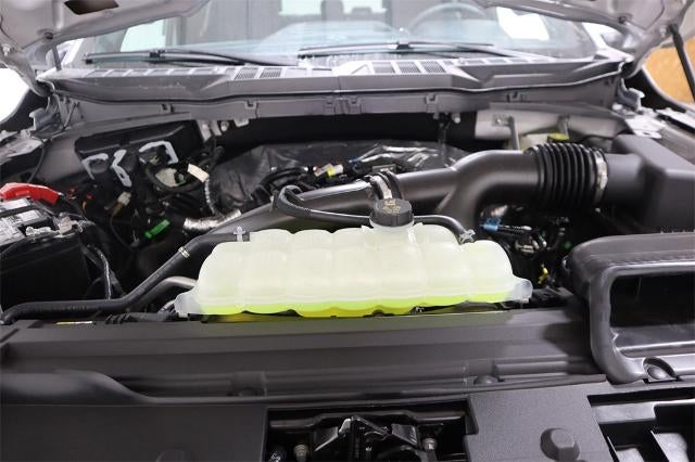 2025 Ford F-150 STX Demo