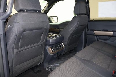 2025 Ford F-150 STX Demo