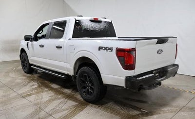 2025 Ford F-150 STX Demo