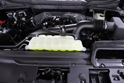 2026 Ford F-150 STX Demo