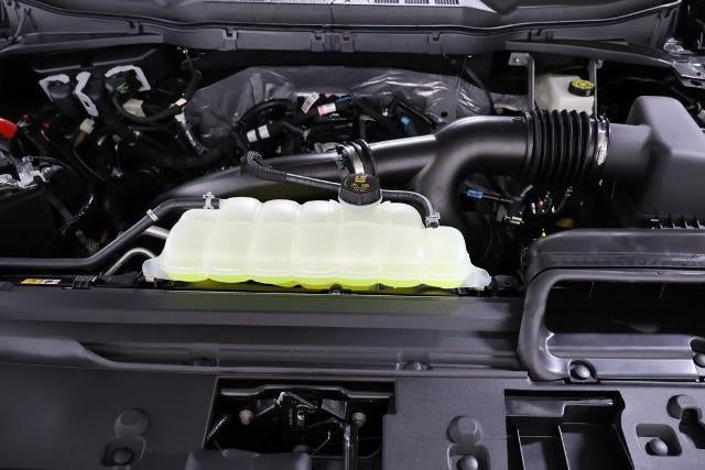 2026 Ford F-150 STX Demo