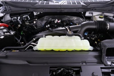 2026 Ford F-150 STX Demo