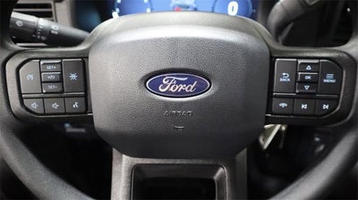 2025 Ford F-150 XL Demo