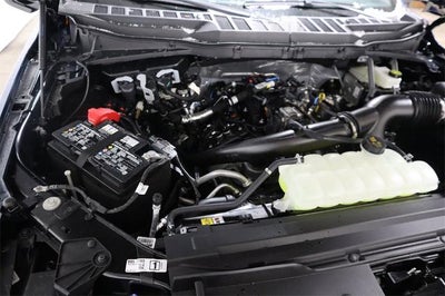 2025 Ford F-150 XL Demo