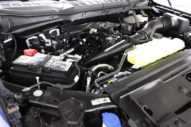 2025 Ford F-150 XL Demo