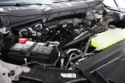 2025 Ford F-150 STX Demo