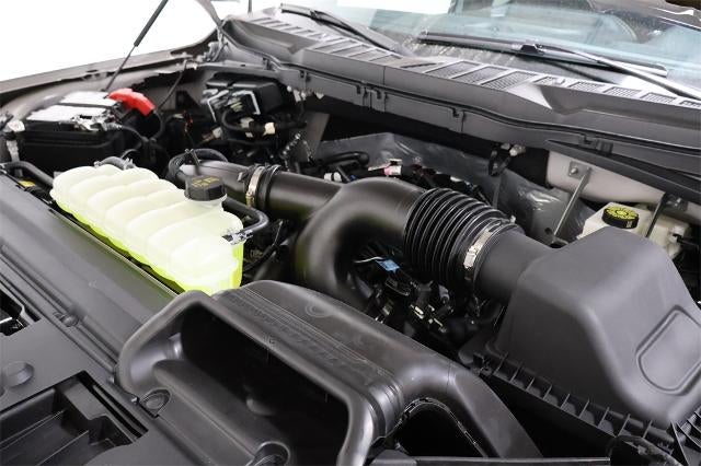 2025 Ford F-150 STX Demo