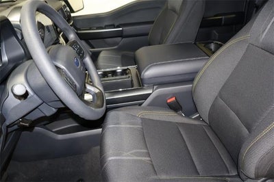 2025 Ford F-150 STX Demo