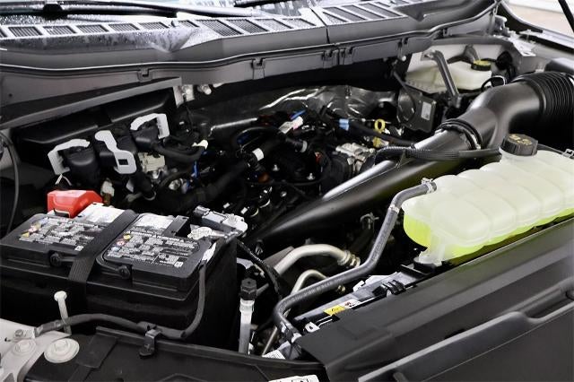 2025 Ford F-150 STX Demo