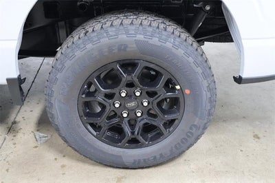 2025 Ford F-150 STX Demo