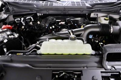 2025 Ford F-150 STX Demo