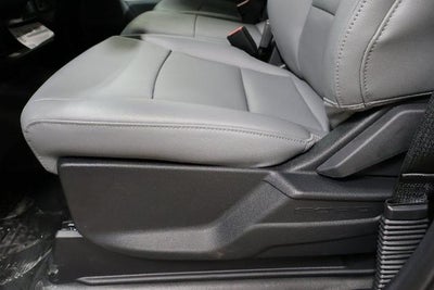 2026 Ford F-150 XL Demo