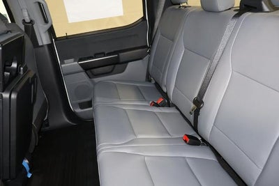 2026 Ford F-150 XL Demo