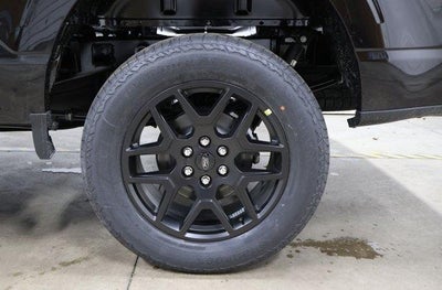 2025 Ford F-150 STX Demo