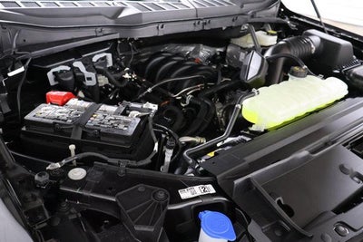 2025 Ford F-150 STX Demo