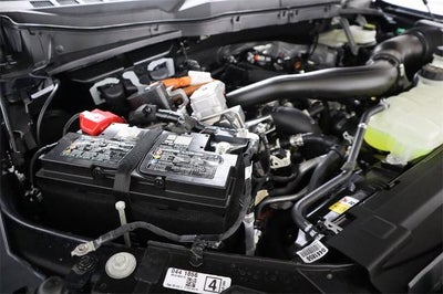 2025 Ford F-150 XLT Demo