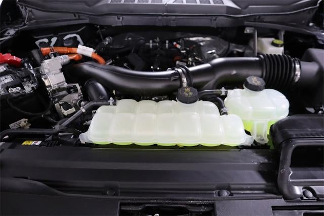 2025 Ford F-150 XLT Demo