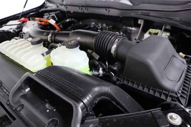 2025 Ford F-150 XLT Demo