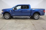 2025 Ford F-150 XLT Demo