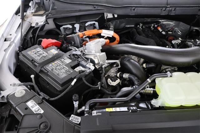 2025 Ford F-150 XLT Demo