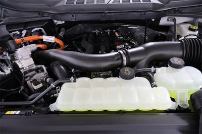 2025 Ford F-150 XLT Demo