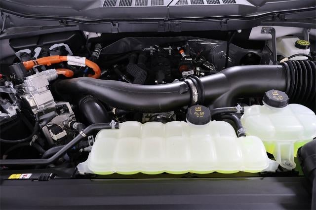 2025 Ford F-150 XLT Demo