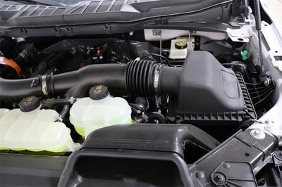 2025 Ford F-150 XLT Demo