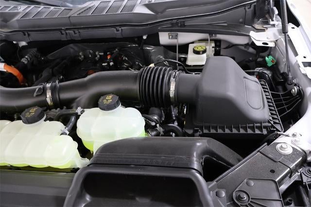 2025 Ford F-150 XLT Demo