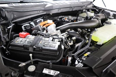 2025 Ford F-150 XLT Demo