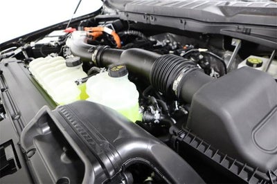 2025 Ford F-150 XLT Demo