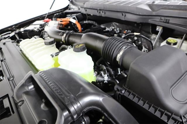 2025 Ford F-150 XLT Demo