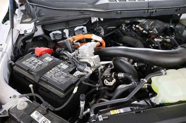 2025 Ford F-150 XLT Demo