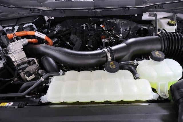 2025 Ford F-150 XLT Demo