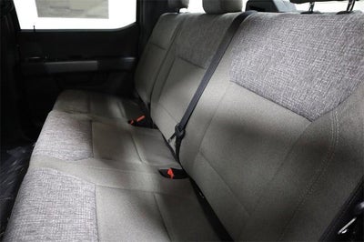 2025 Ford F-150 XLT Demo