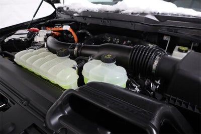 2025 Ford F-150 XLT Demo