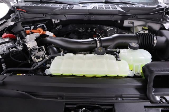 2025 Ford F-150 XLT Demo