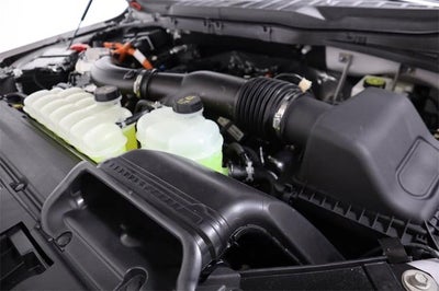 2025 Ford F-150 XLT Demo