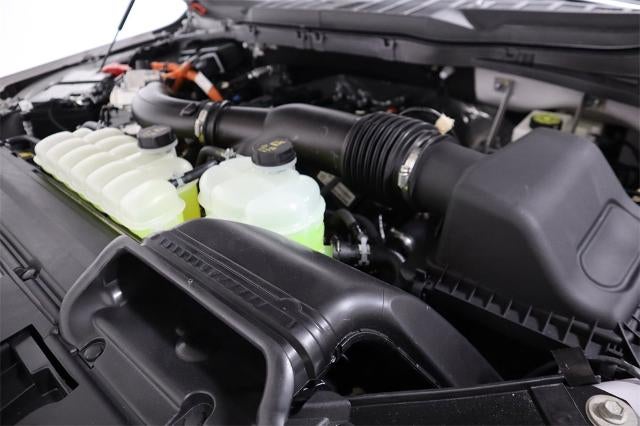 2025 Ford F-150 XLT Demo