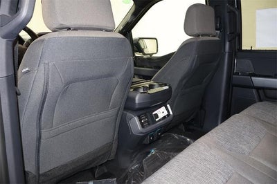 2025 Ford F-150 XLT Demo