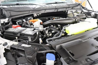 2025 Ford F-150 XLT Demo