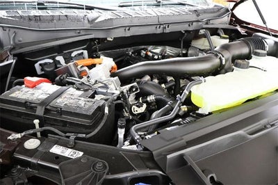 2025 Ford F-150 XLT Demo