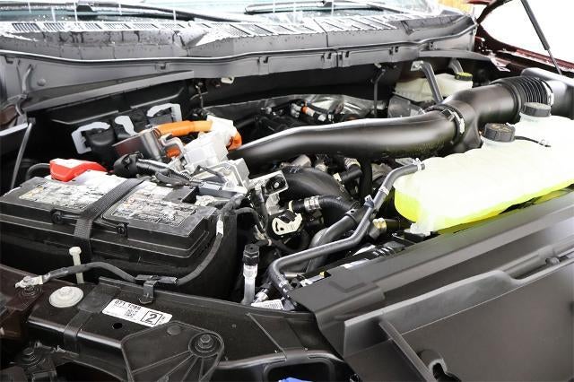 2025 Ford F-150 XLT Demo