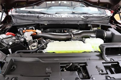 2025 Ford F-150 XLT Demo